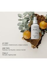 The Haze Deodorizing Body Mist SC.02 After Thunder