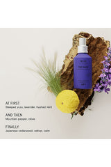 The Haze Deodorizing Body Mist SC.03 The Onsen