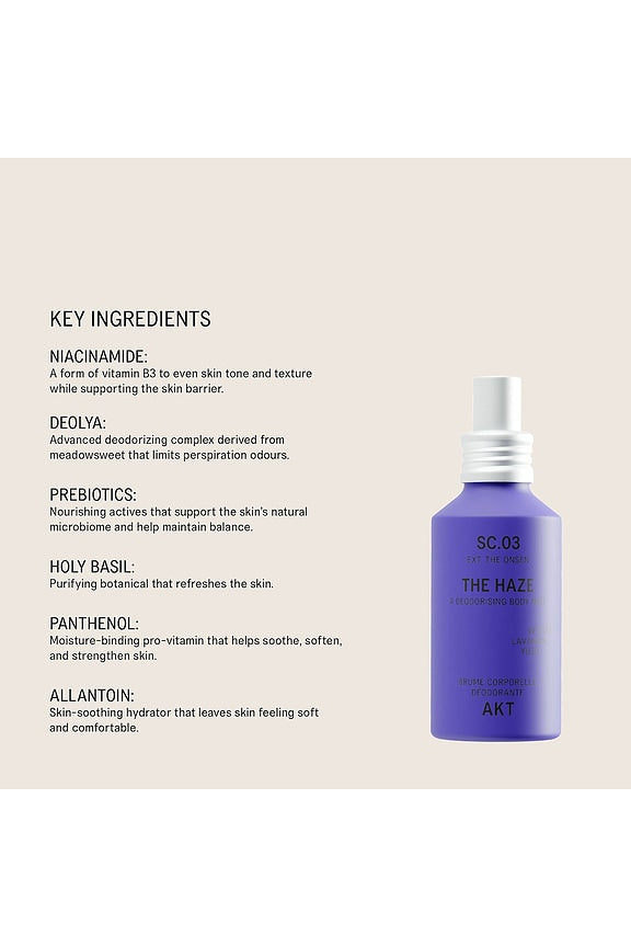 The Haze Deodorizing Body Mist SC.03 The Onsen