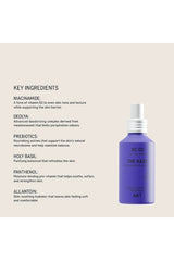 The Haze Deodorizing Body Mist SC.03 The Onsen