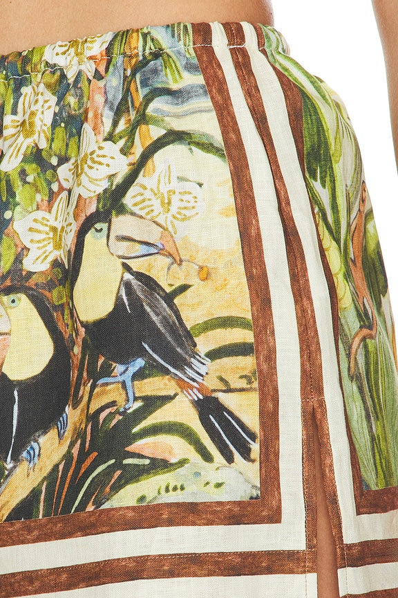 Toucan Tango Short
