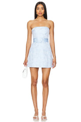 x REVOLVE Fae Dress