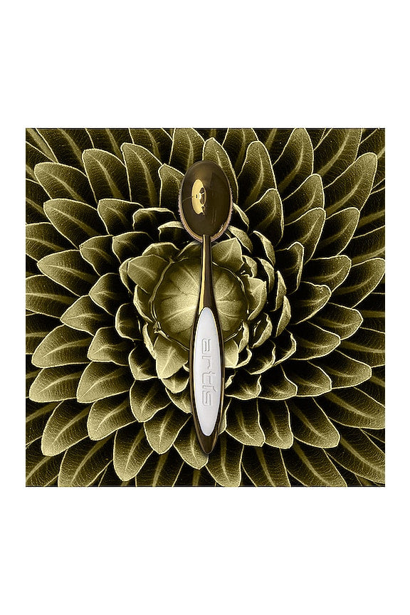 Elite Oval 7 Brush