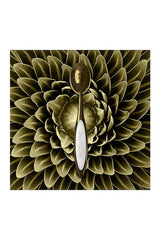 Elite Oval 7 Brush