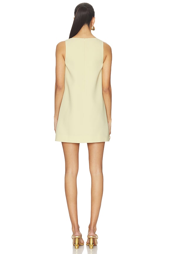 Aravine Dress