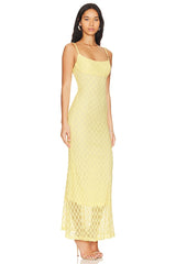 Adoni Mesh Maxi Dress