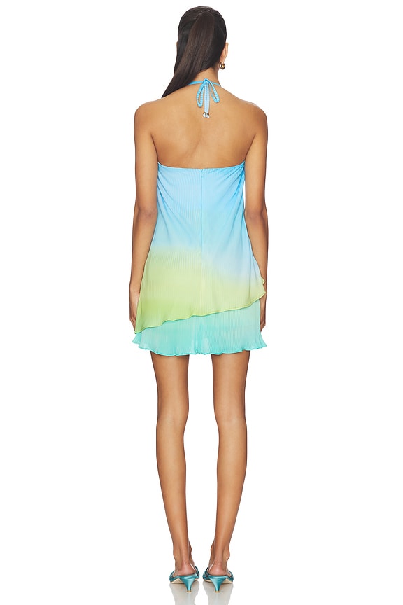 Cassis Mini Dress