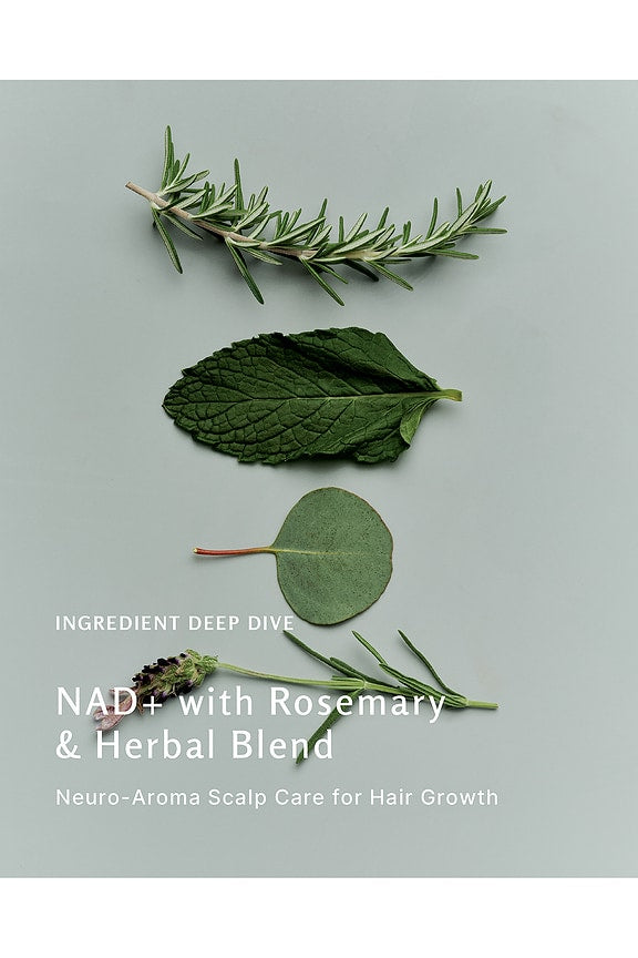 NAD+ Scalp Serum