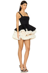 Catalina Mini Dress