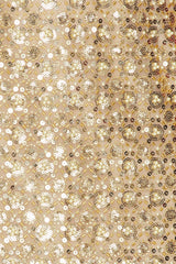 Allegra Sequin Maxi Dress