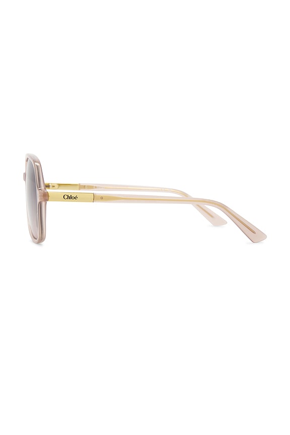 Judy Sunglasses