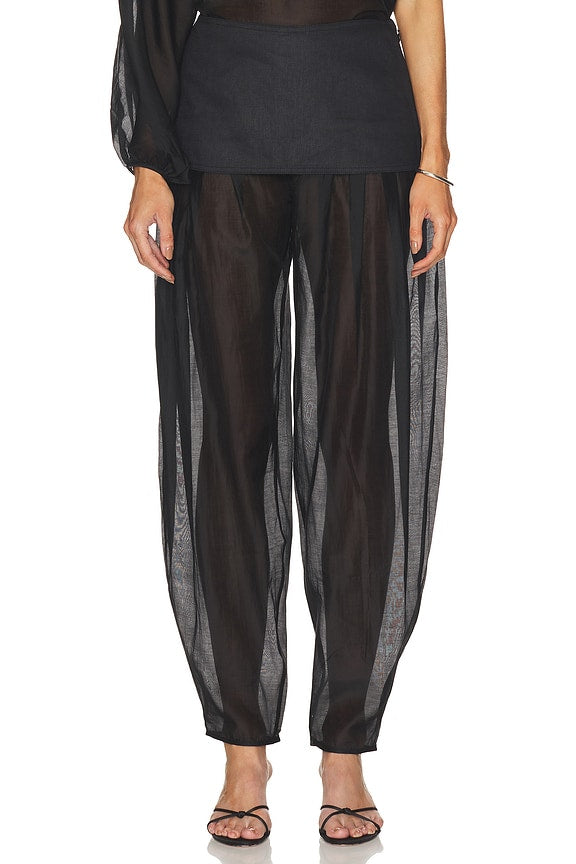 Evelia Pant