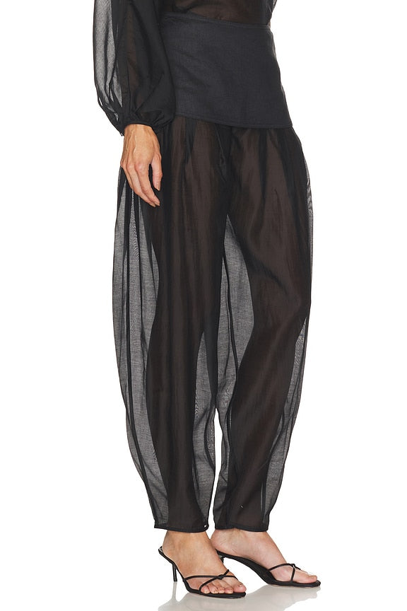 Evelia Pant