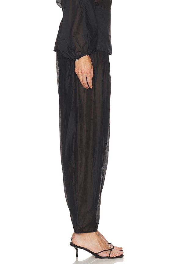 Evelia Pant