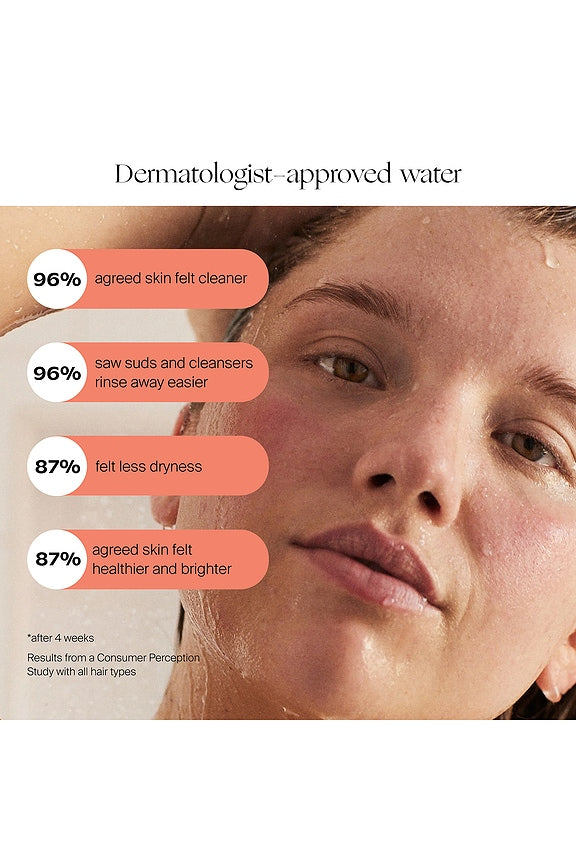 Handheld Filtered Showerhead