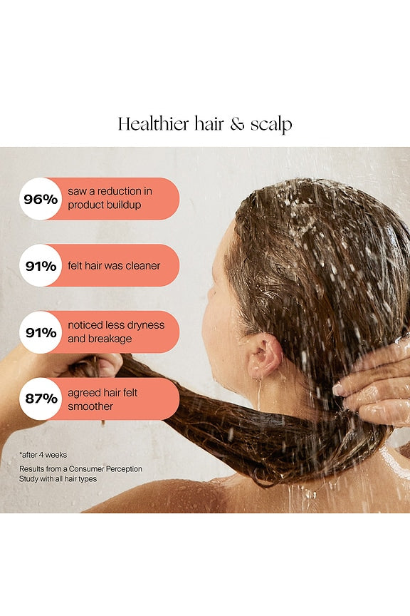 Handheld Filtered Showerhead