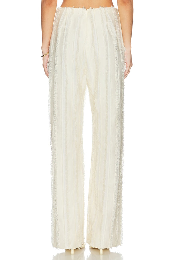 Ary Pant