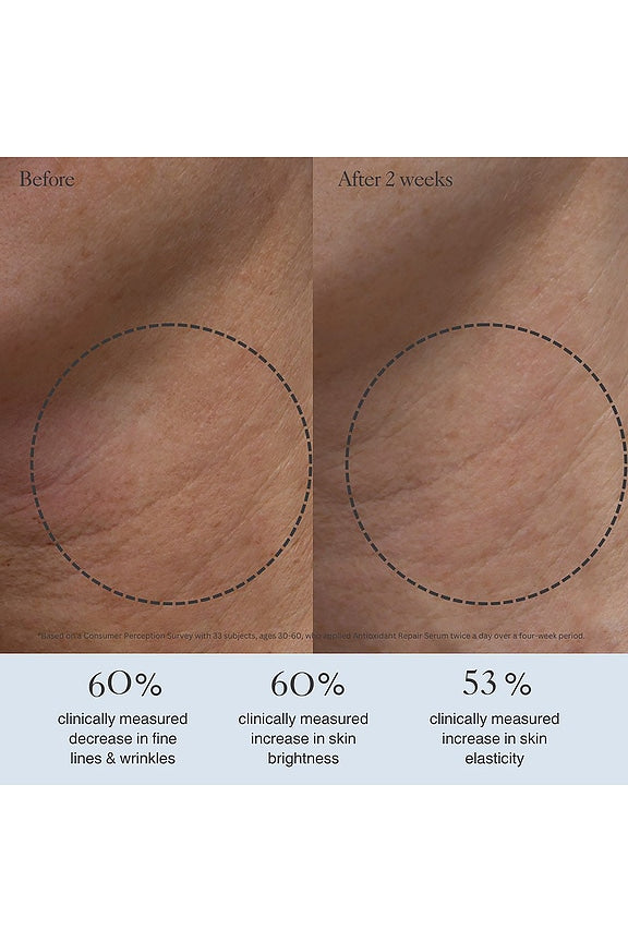 Antioxidant Repair Serum