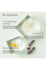 Antioxidant Repair Serum