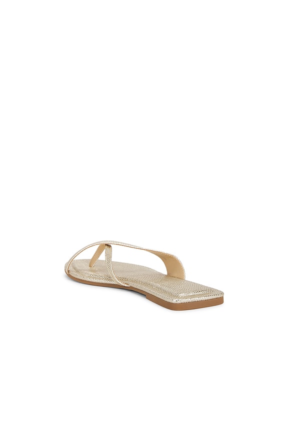 Lenex Thong Sandal