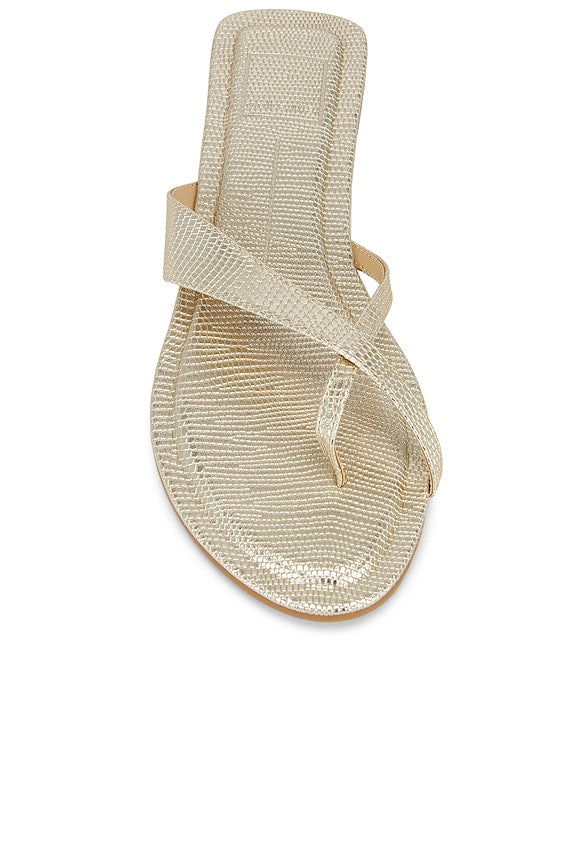 Lenex Thong Sandal