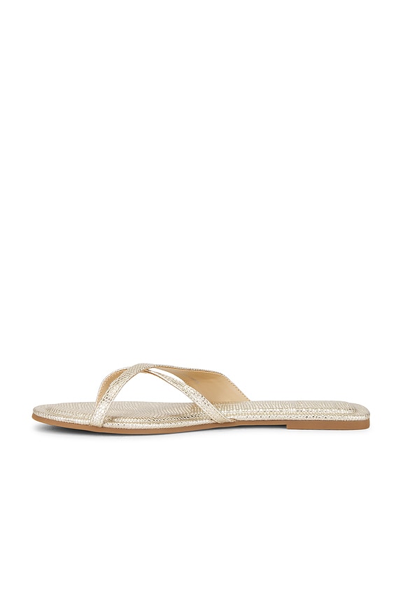 Lenex Thong Sandal