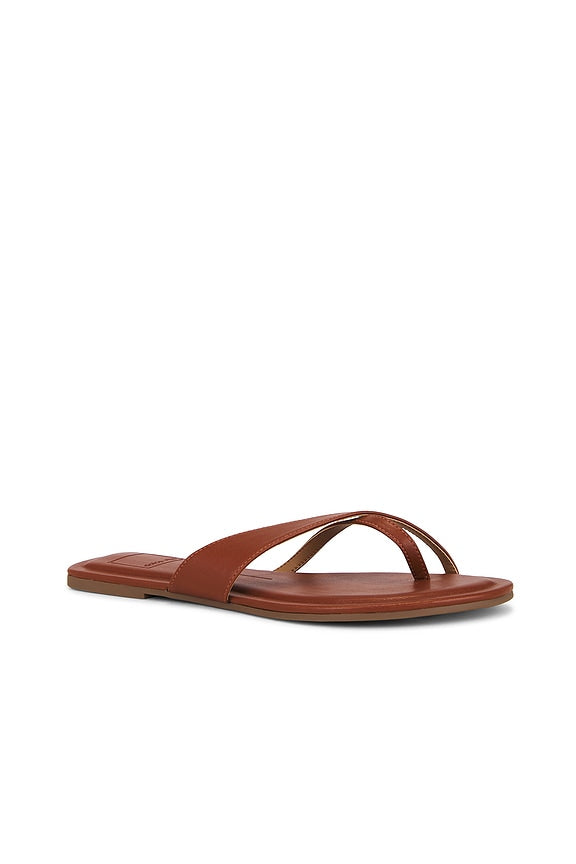Lenex Thong Sandal