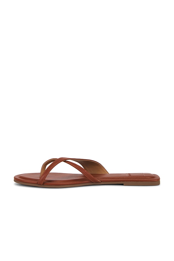 Lenex Thong Sandal