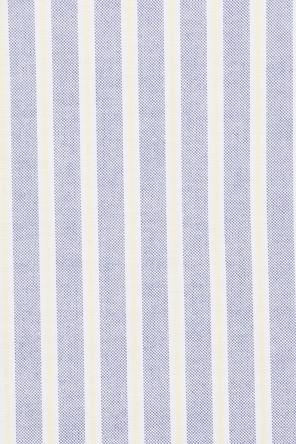 The Oxford Shirt