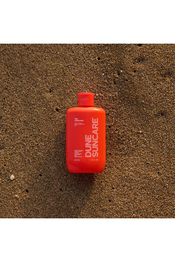 The Lifeguard