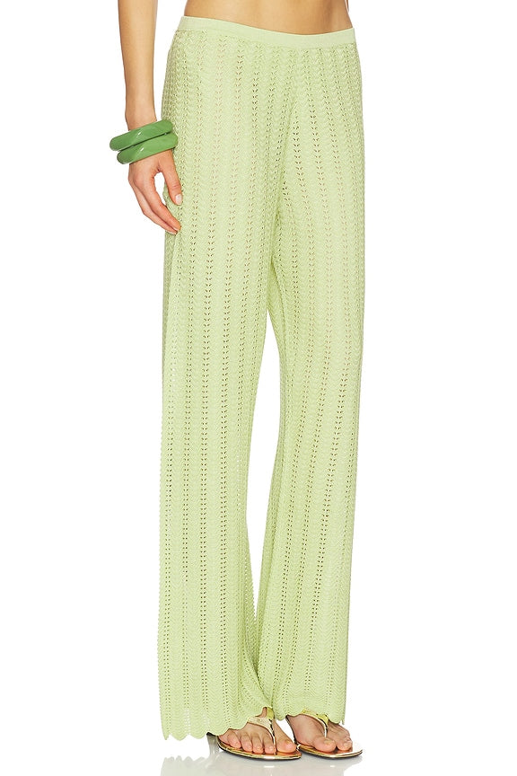 Gavi Pant