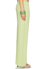 Gavi Pant