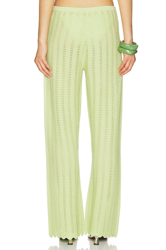 Gavi Pant