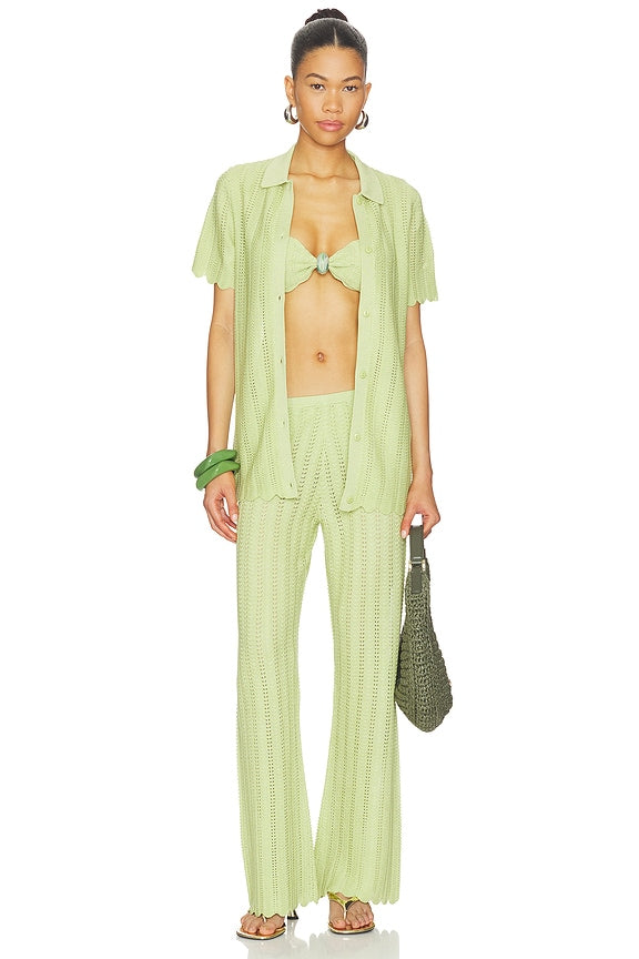 Gavi Pant