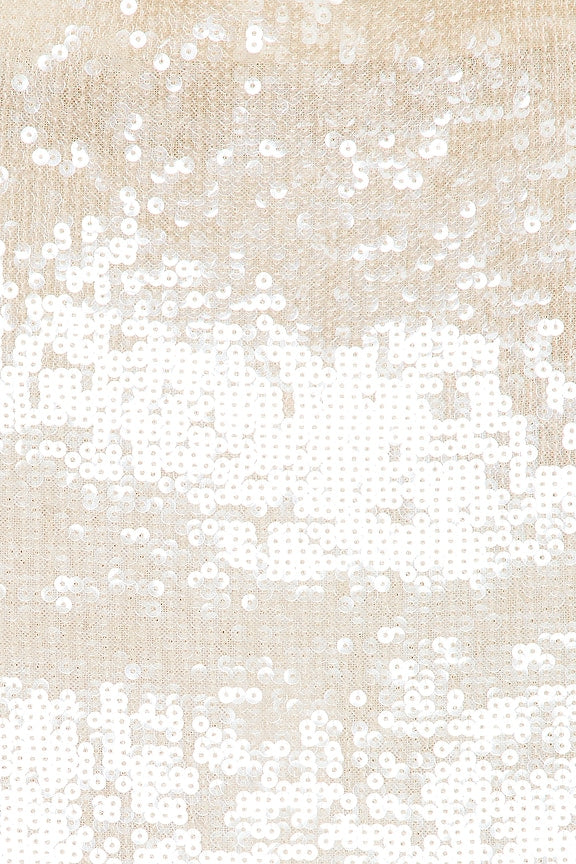 Elodie Reed Sequin Top