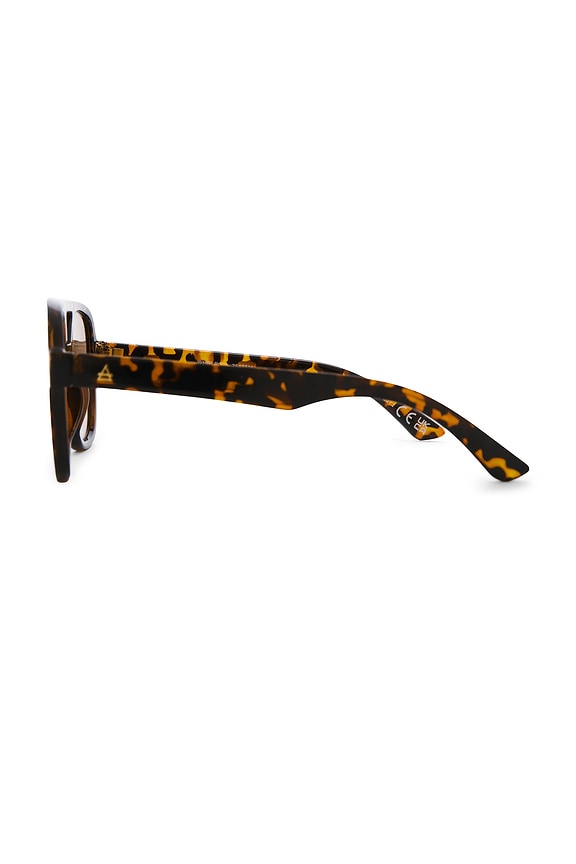 Whirlpool Sunglasses