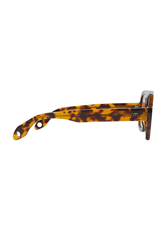 Jane Sunglasses