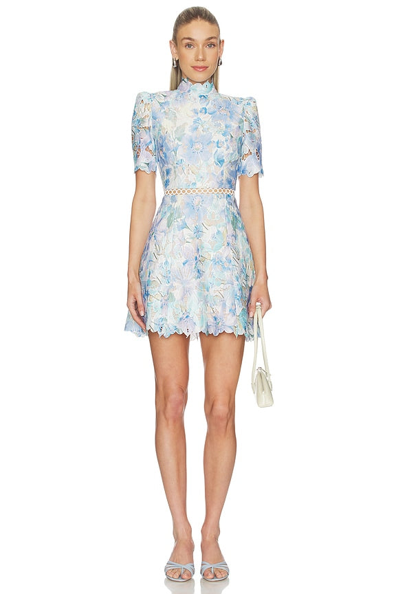 Kalissa A Line Mini Dress