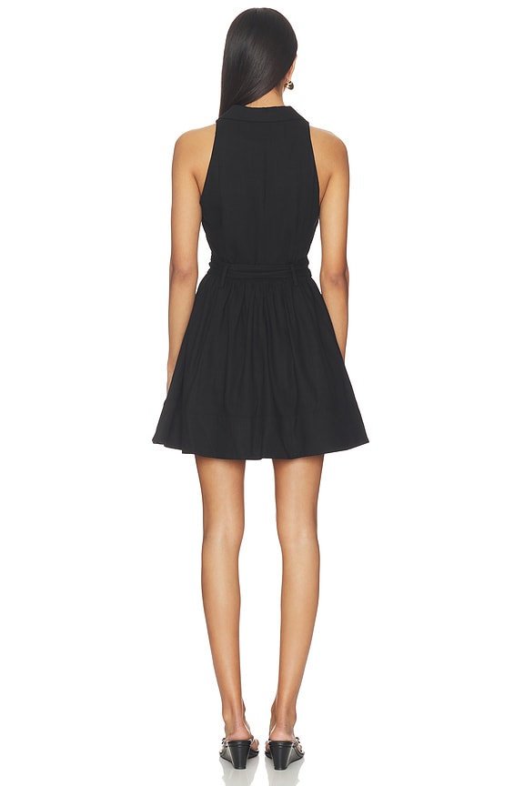 Emilie Collared Mini Dress