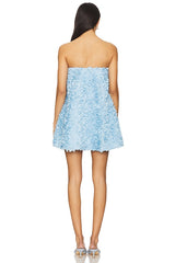 Kaia Trapeze Mini Dress