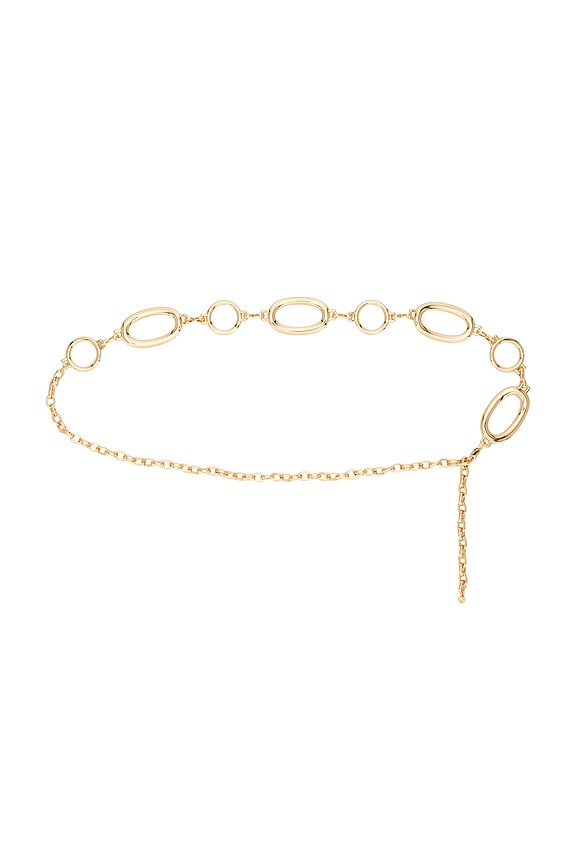 Multi-ring Chain Belt