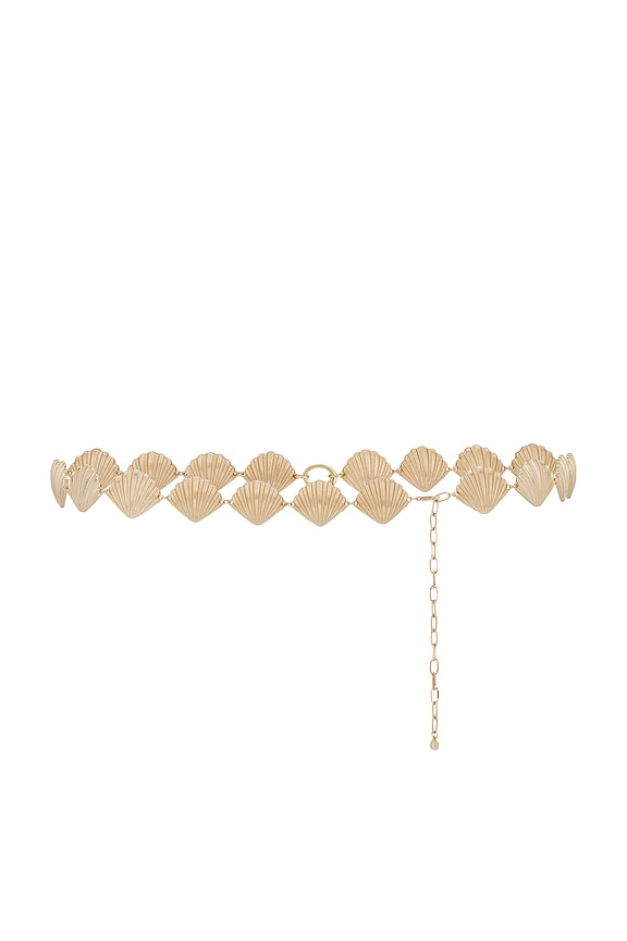 Shell Belly Chain