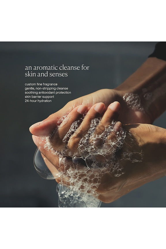 Restorative Hand Wash