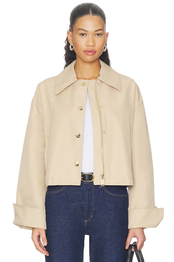 The Rue Cropped Trench