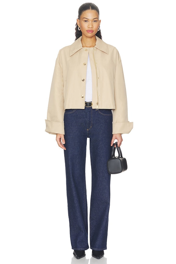 The Rue Cropped Trench