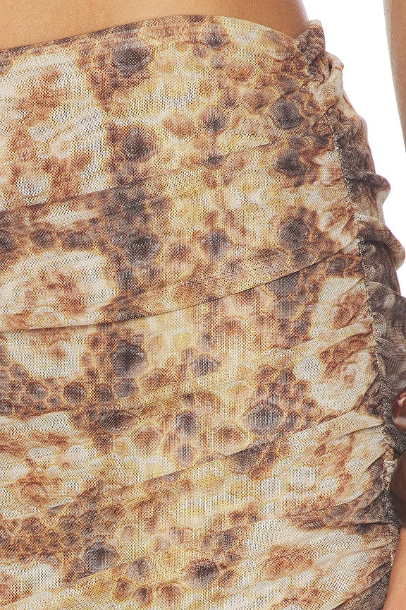 Festa