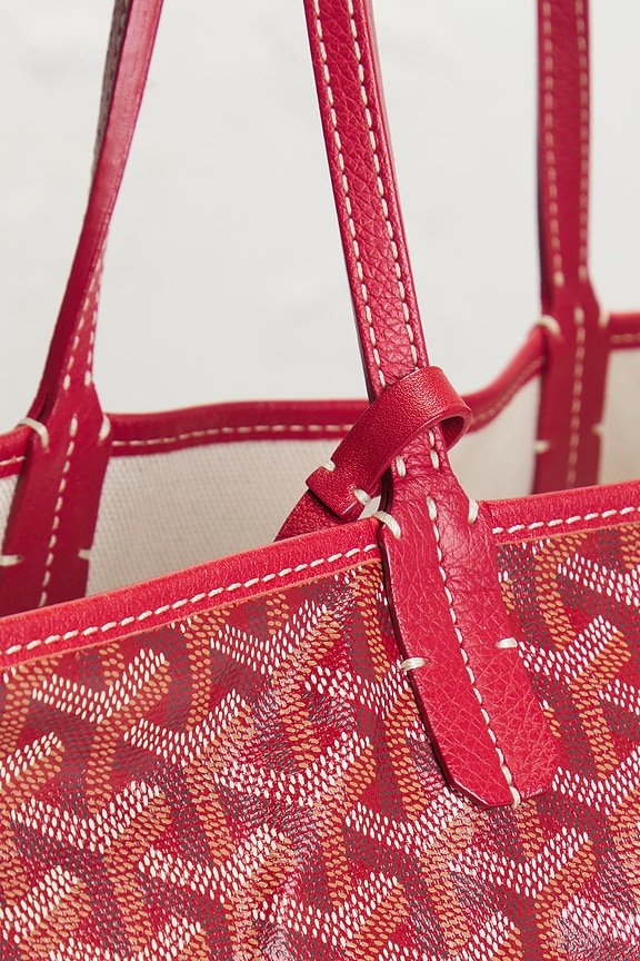 Goyard Saint Louis PM Tote Bag