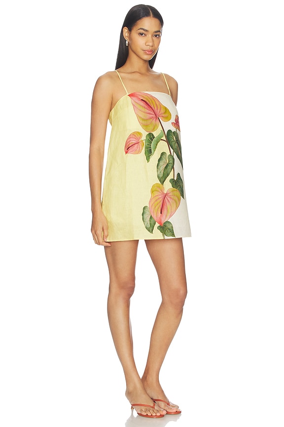 Mini Dress