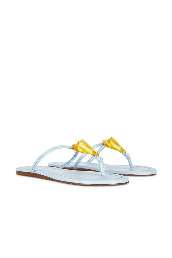 Shell Flat Sandal