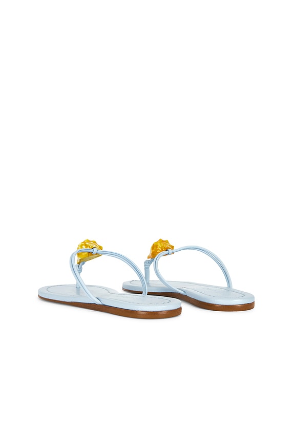 Shell Flat Sandal